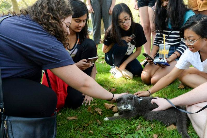 Educational Initiatives On Sustainable Pet Care