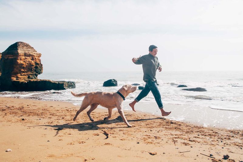 Pet Lifestyle And Activities