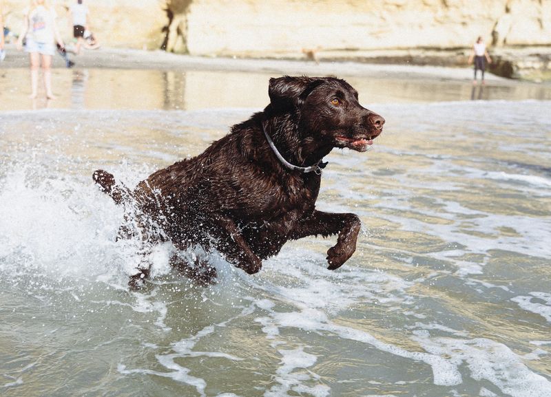 Endless Swimming Opportunities
