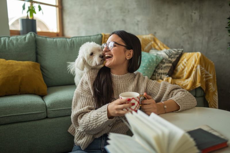 Pet-Friendly Housing