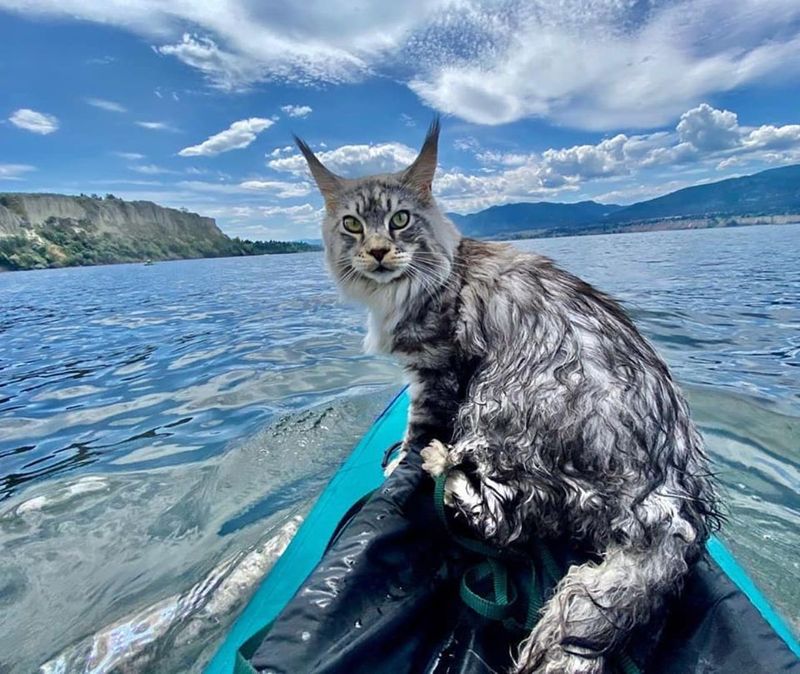 Loves Water