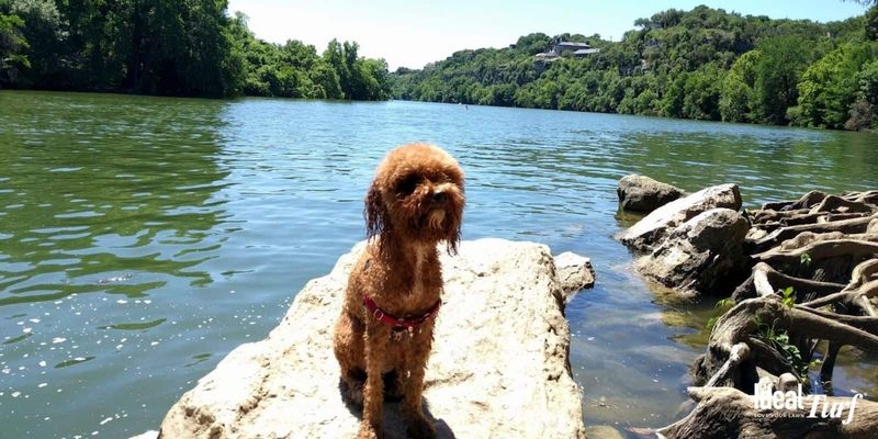 Austin, Texas