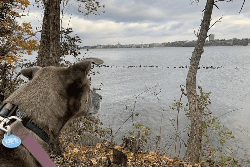 Madison, Wisconsin