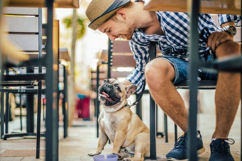 Pet-Friendly Legislation