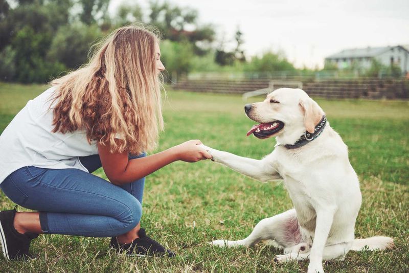 Positive Reinforcement And Praise