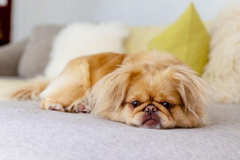 Stay Calm And Relaxed