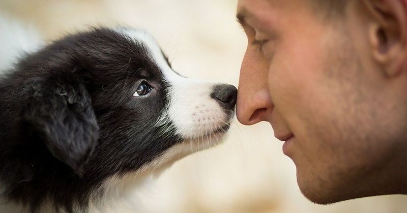Gently Nuzzling You