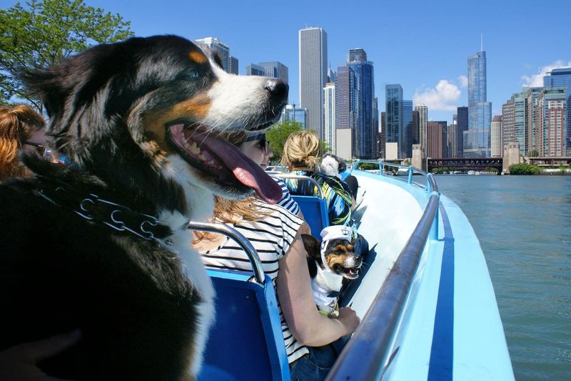 Chicago, Illinois