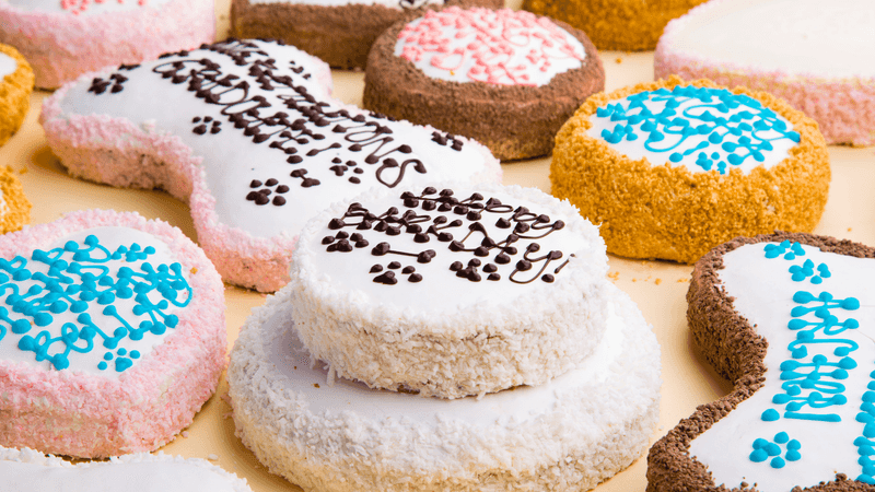 Specialized Dog Bakeries