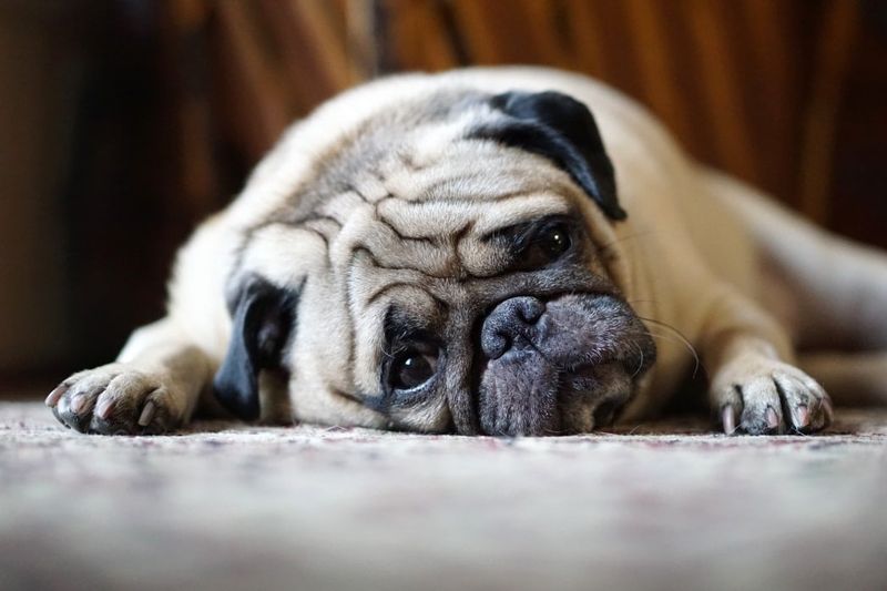 Sudden Lethargy After You Make A Mistake