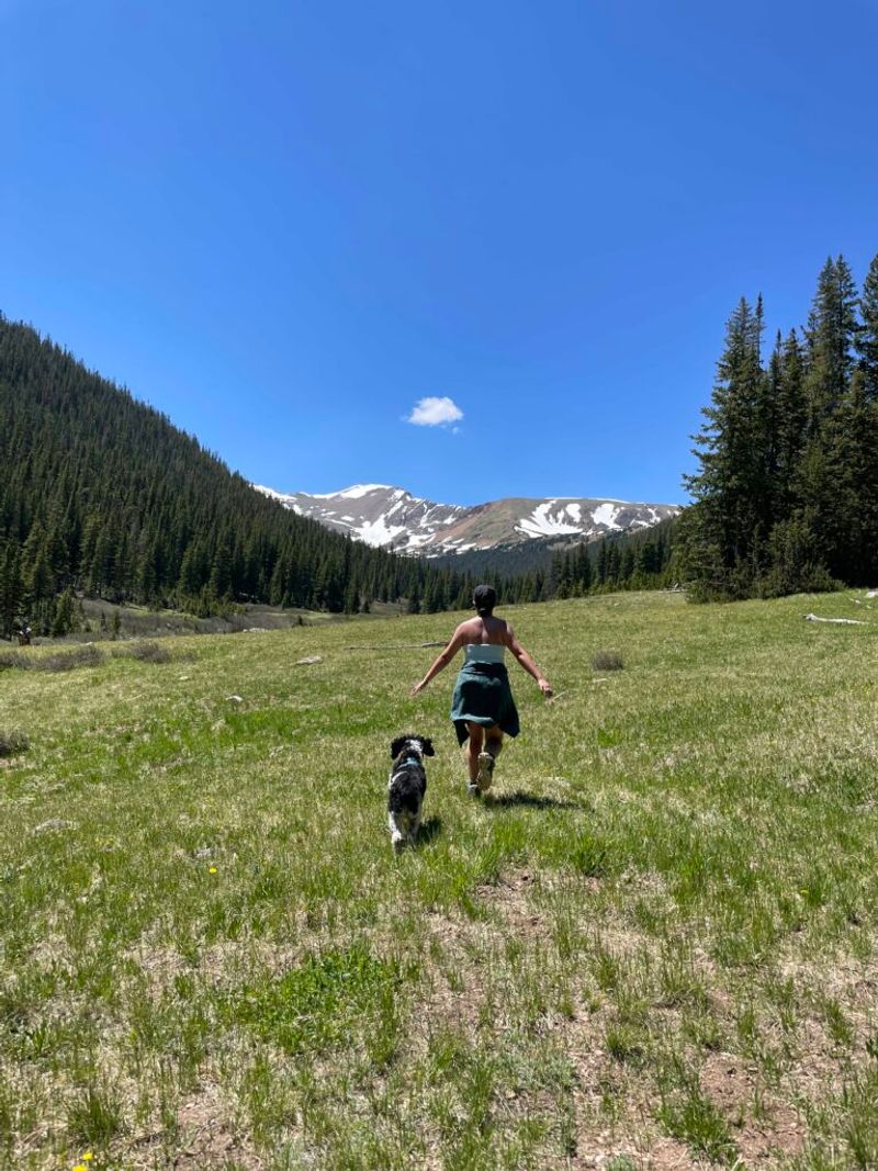 Herman Gulch Trail – Arapaho National Forest