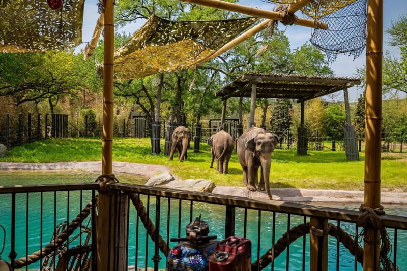 Fort Worth Zoo – Fort Worth, TX