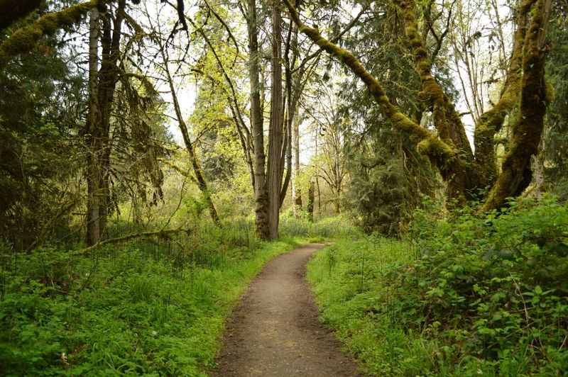 Elijah Bristow State Park – Near Eugene