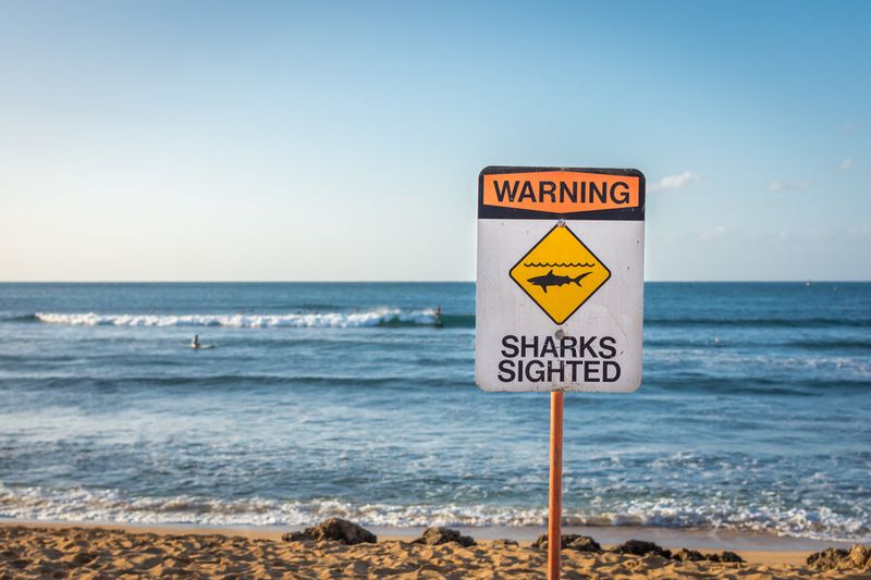 Safety Measures And Precautions For Beachgoers