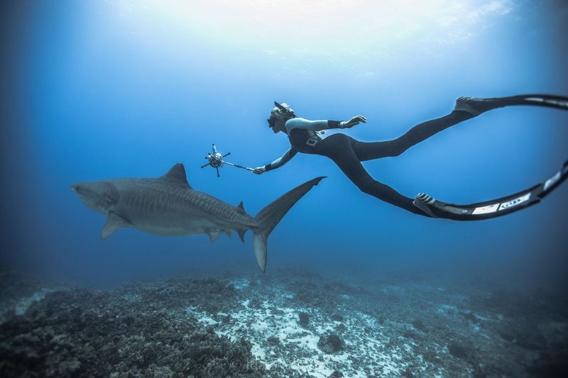Understanding Body Language Reduces Risk