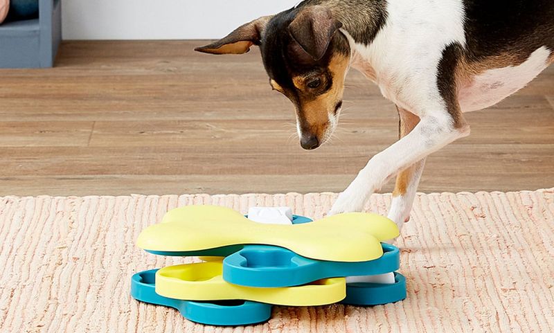 Engage In Fun And Interactive Playtime