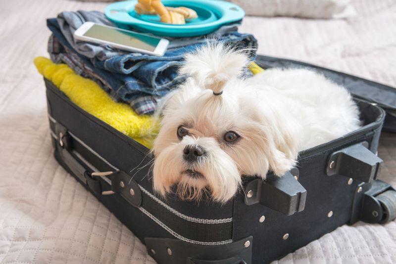 Looking After Your Belongings