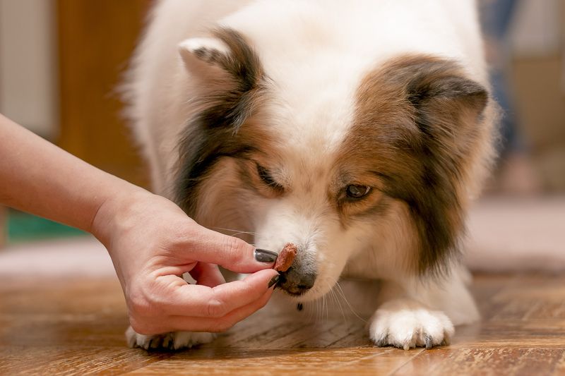 Feed Unlimited Treats