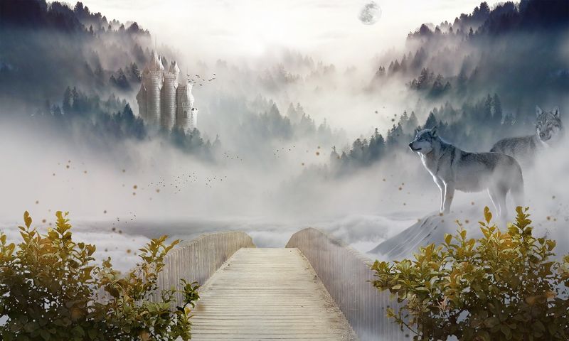 The Land Beyond The Fog
