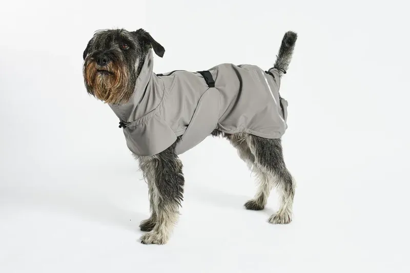 Seasonal Fashion Trends
