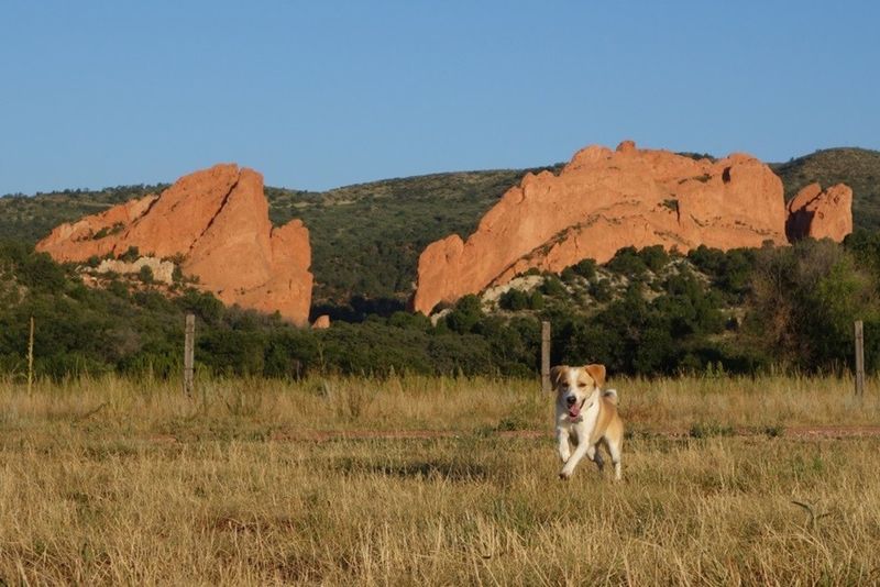 Garden of the Gods – Colorado Springs