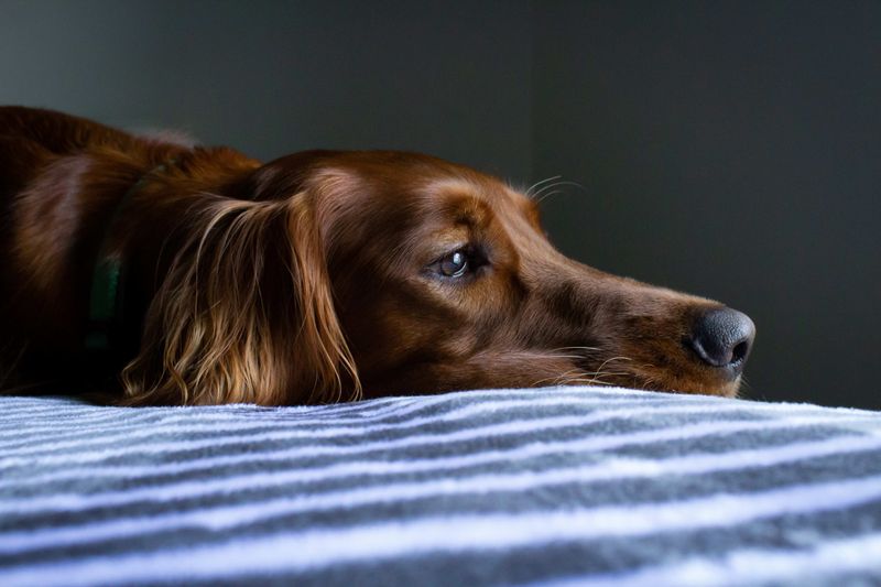 Refusing To Acknowledge Your Presence