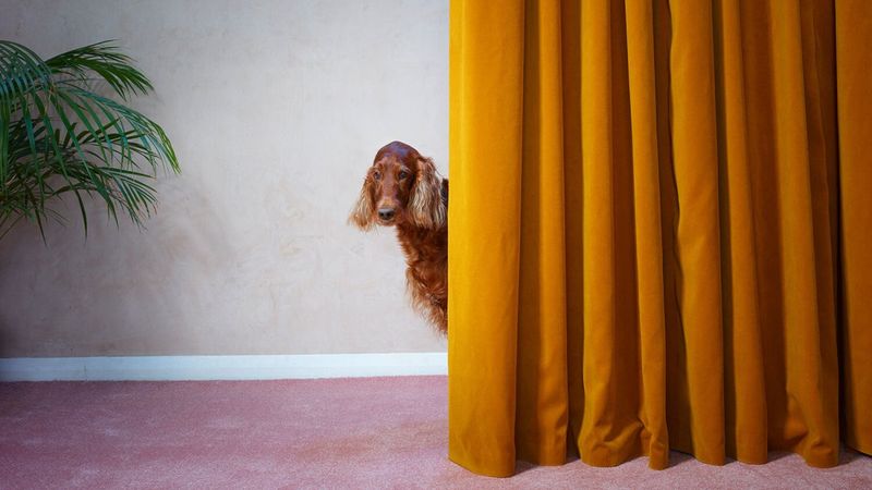 Close Curtains And Windows