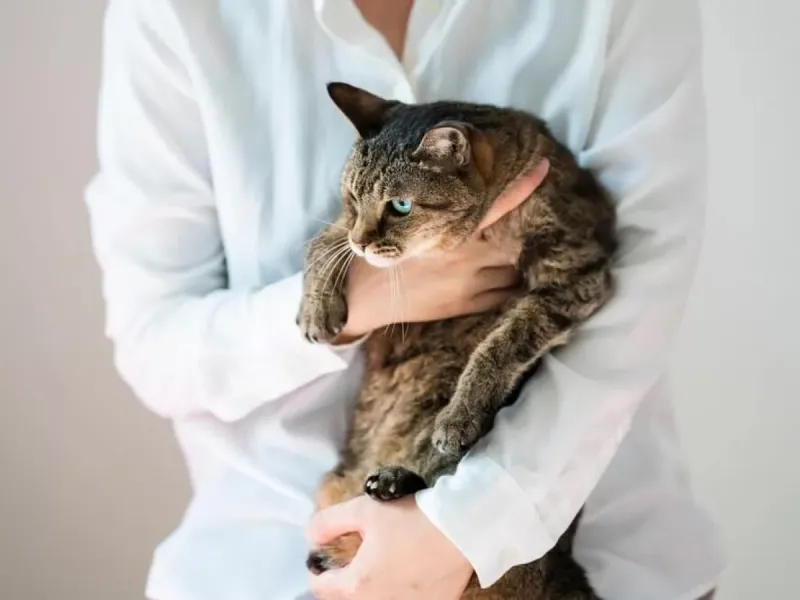 Being Picked Up Unexpectedly