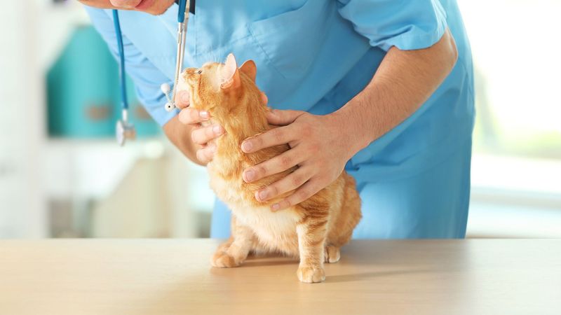 Emphasis On Preventive Care