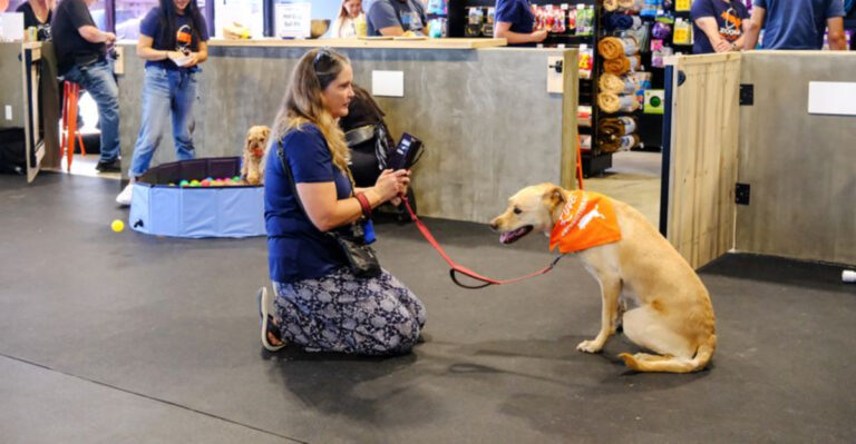 Study Reveals What Pet Owners In New York, Austin, And Seattle Do Differently