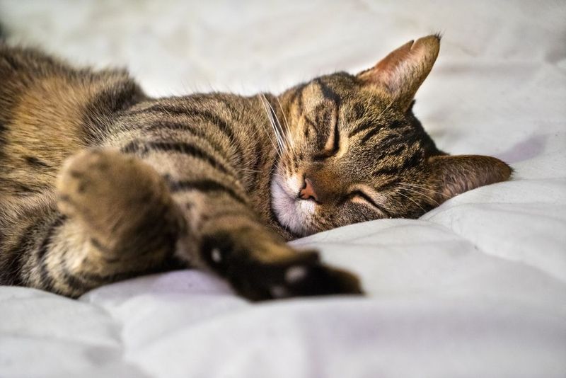 Uncomfortable Furniture Or Bedding