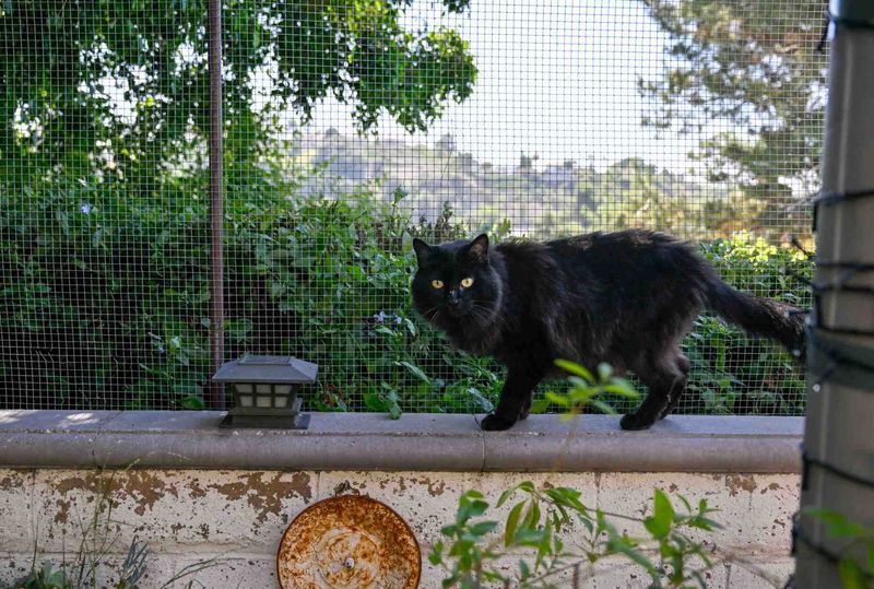 Safe Outdoor Exploration