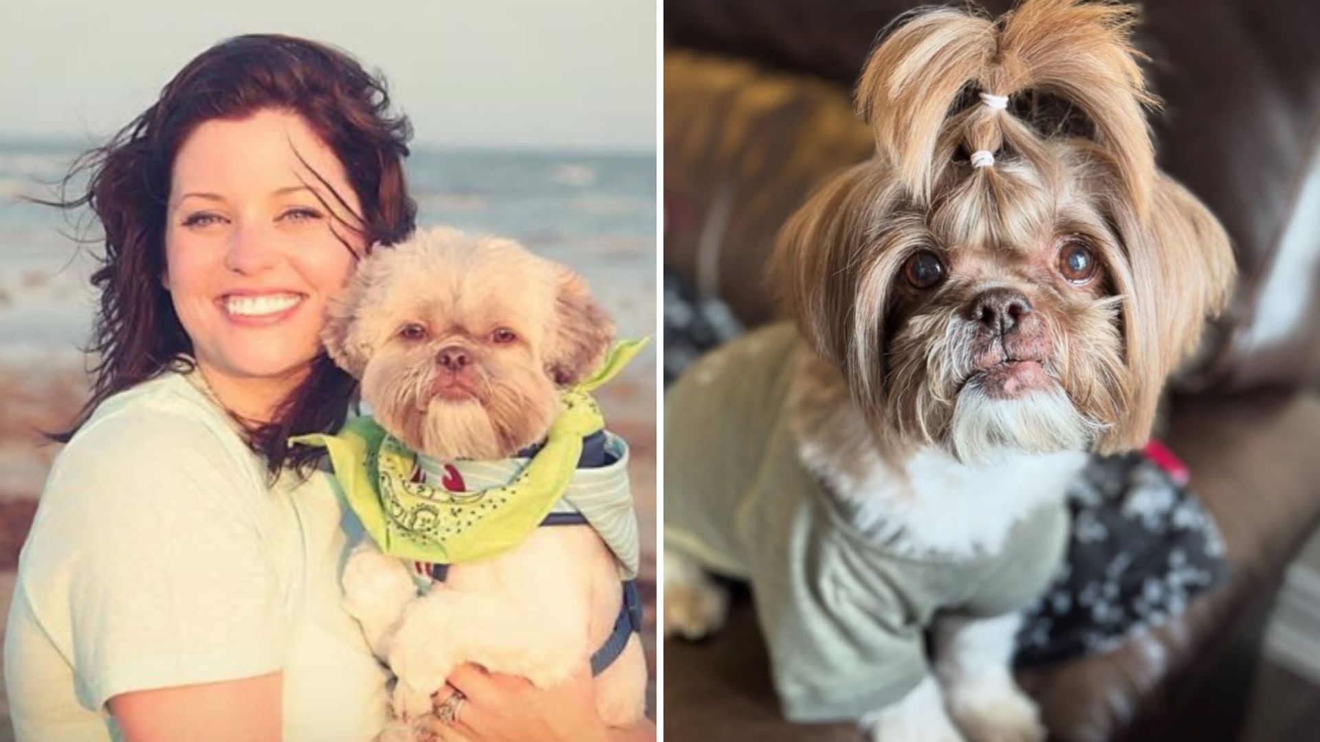 Texas Woman Recreates A Photo With Her Dog 11 Years Later And The Transformation Is Stunning