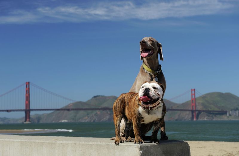San Francisco, CA