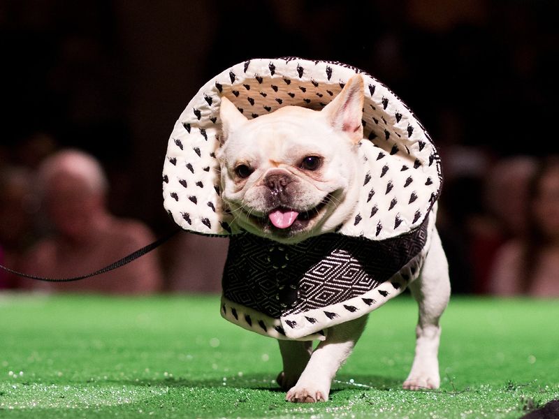 Influence Of Miami's Fashion Scene