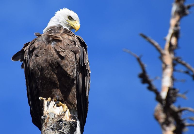 What You Can Do To Help Protect Them