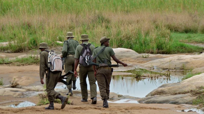 Challenges In Apprehending Poachers