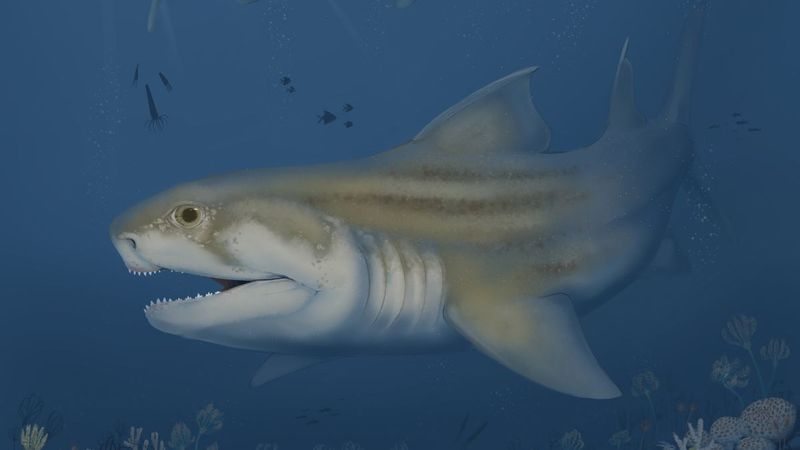 Troglocladodus Trimblei And Glikmanius Careforum
