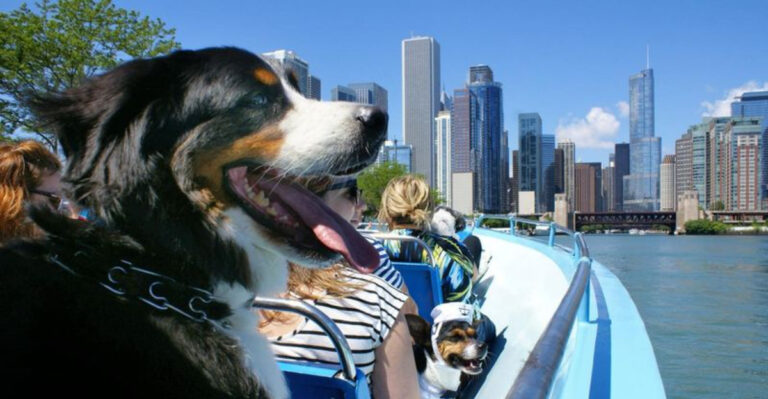 These Are The 10 Best U.S. Cities For Dogs, According To Forbes Advisor