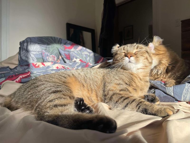 They've Found A Better Spot To Hang Out