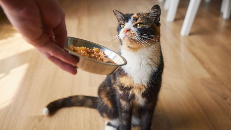 They're Not Hungry (Or Don't Like What's On The Menu)