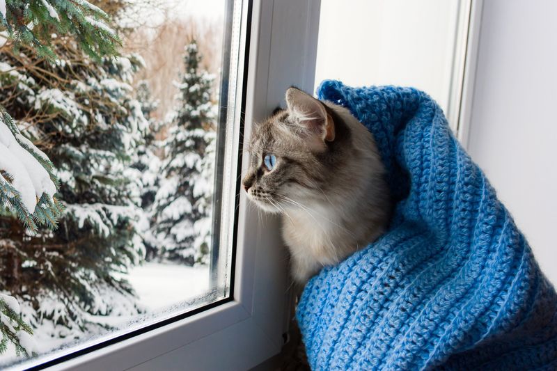 They're Experiencing Seasonal Changes