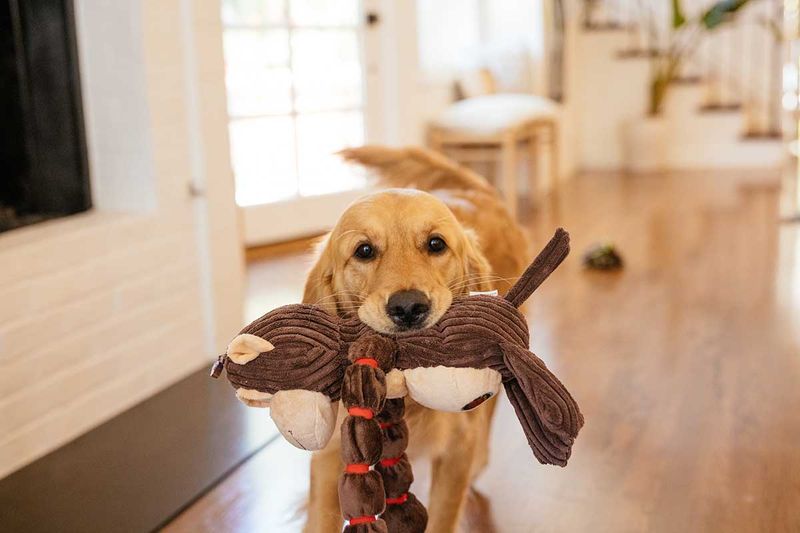 Toy Gifts Mean You're Trusted