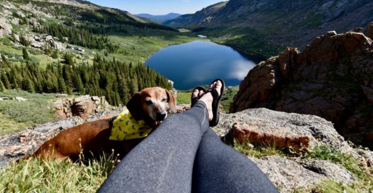 Top 6 Hiking Trails In Colorado Your Dog Will Love (And Where To Stay Nearby)