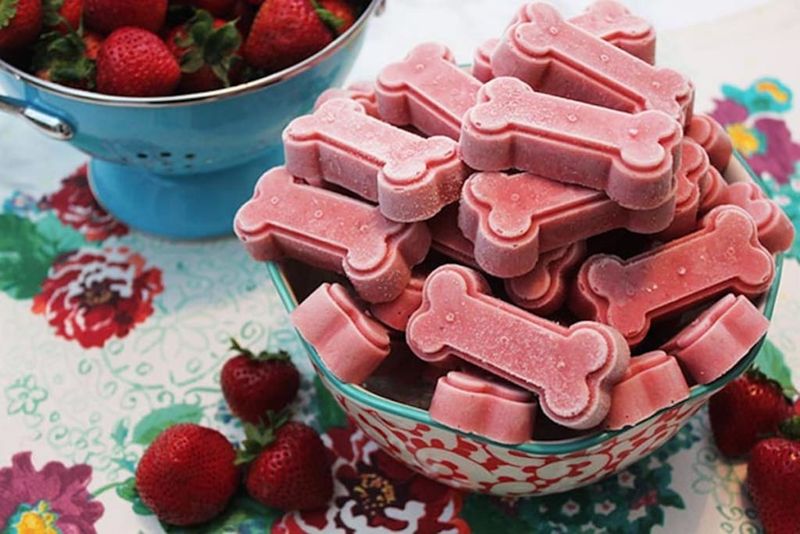 Trick #4: Offer Frozen Treats And Ice Cubes