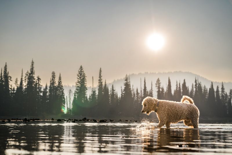 How Hot Does It Really Get In Oregon During The Summer?