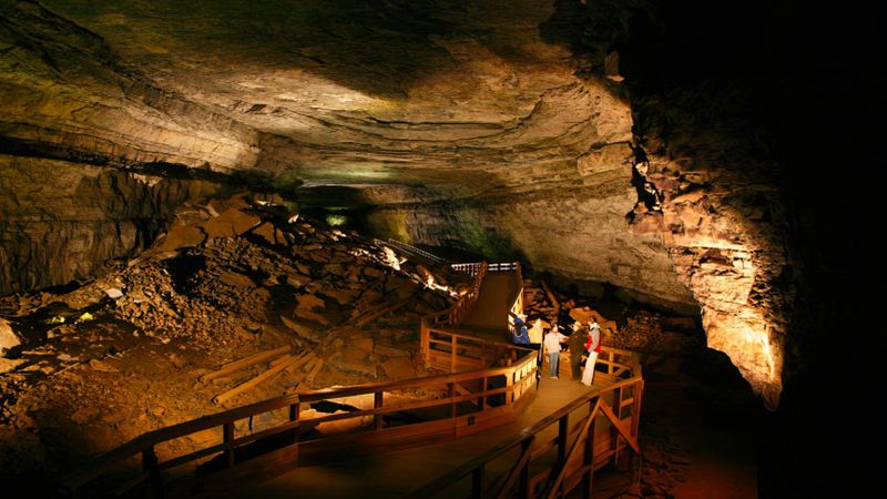 The Importance Of Discovering These Fossils In Mammoth Cave