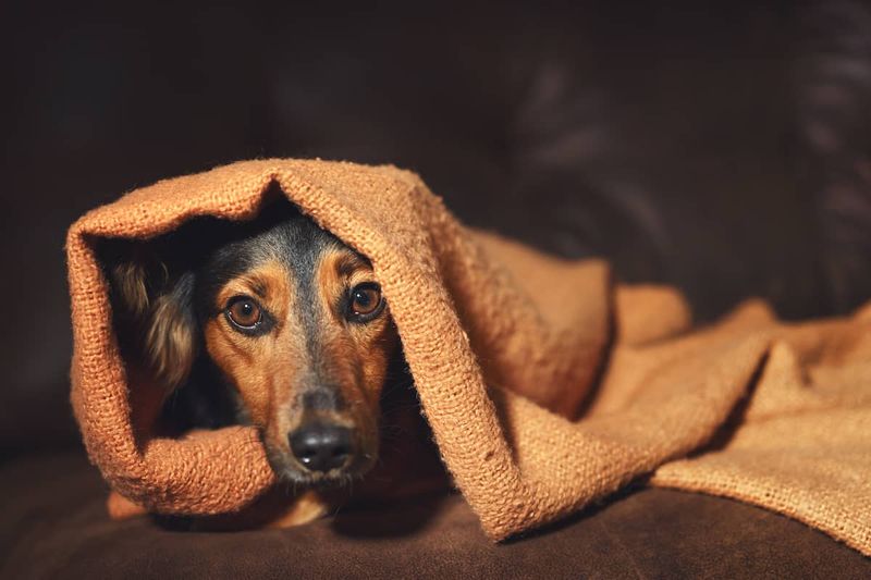 Keep Them Inside Before The Fireworks Start