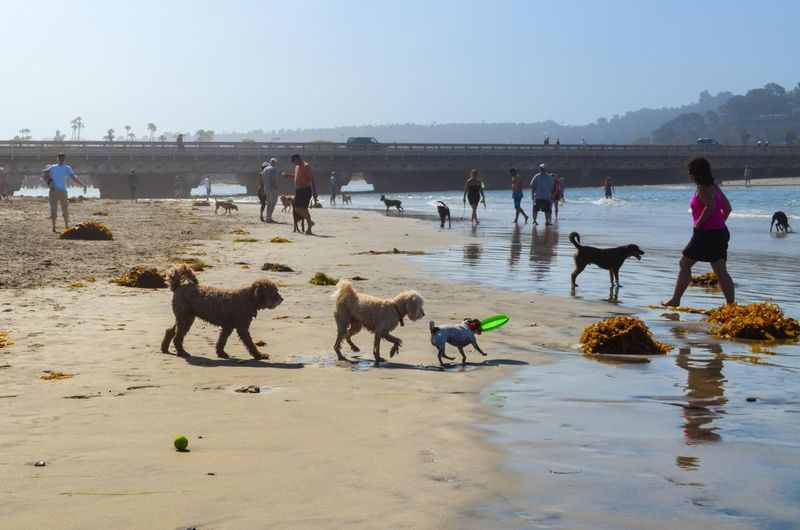San Diego, California