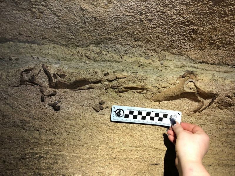 The Stunning Discovery In Mammoth Cave
